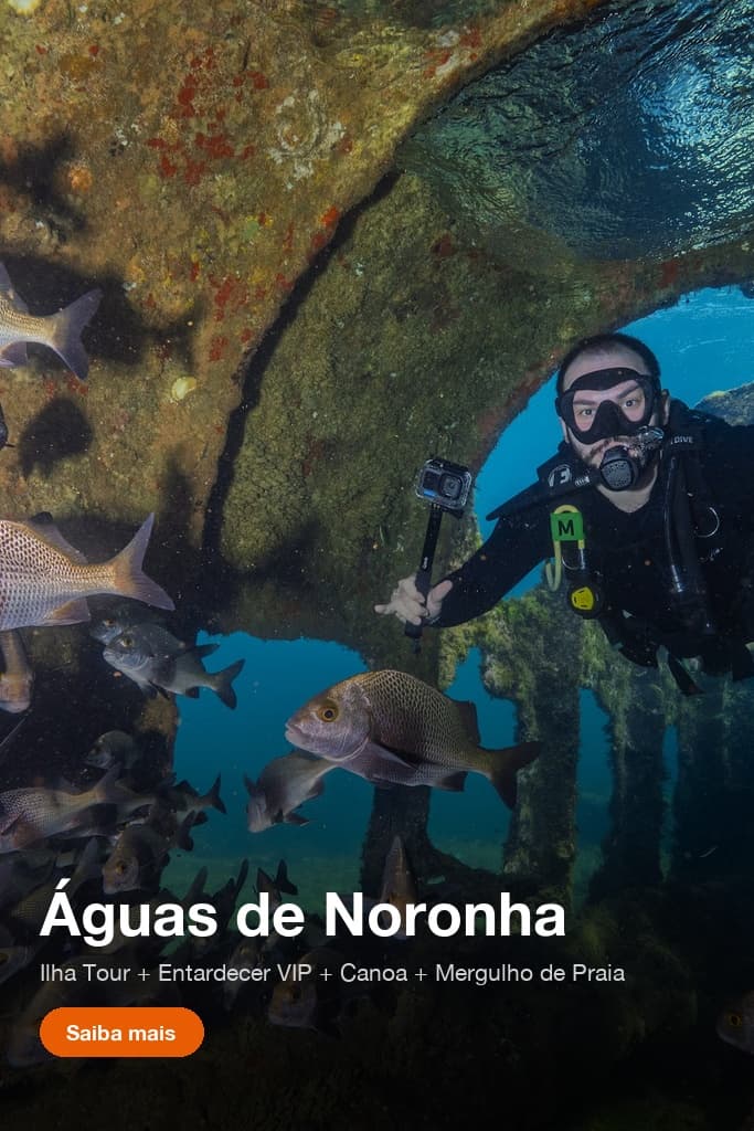 Combo com Ilha Tour, Entardecer VIP, Canoa Havaiana e Mergulho Cilindro de Praia em Fernando de Noronha