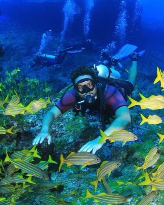 Mergulhador credenciado entre cardume de peixes, Fernando de Noronha