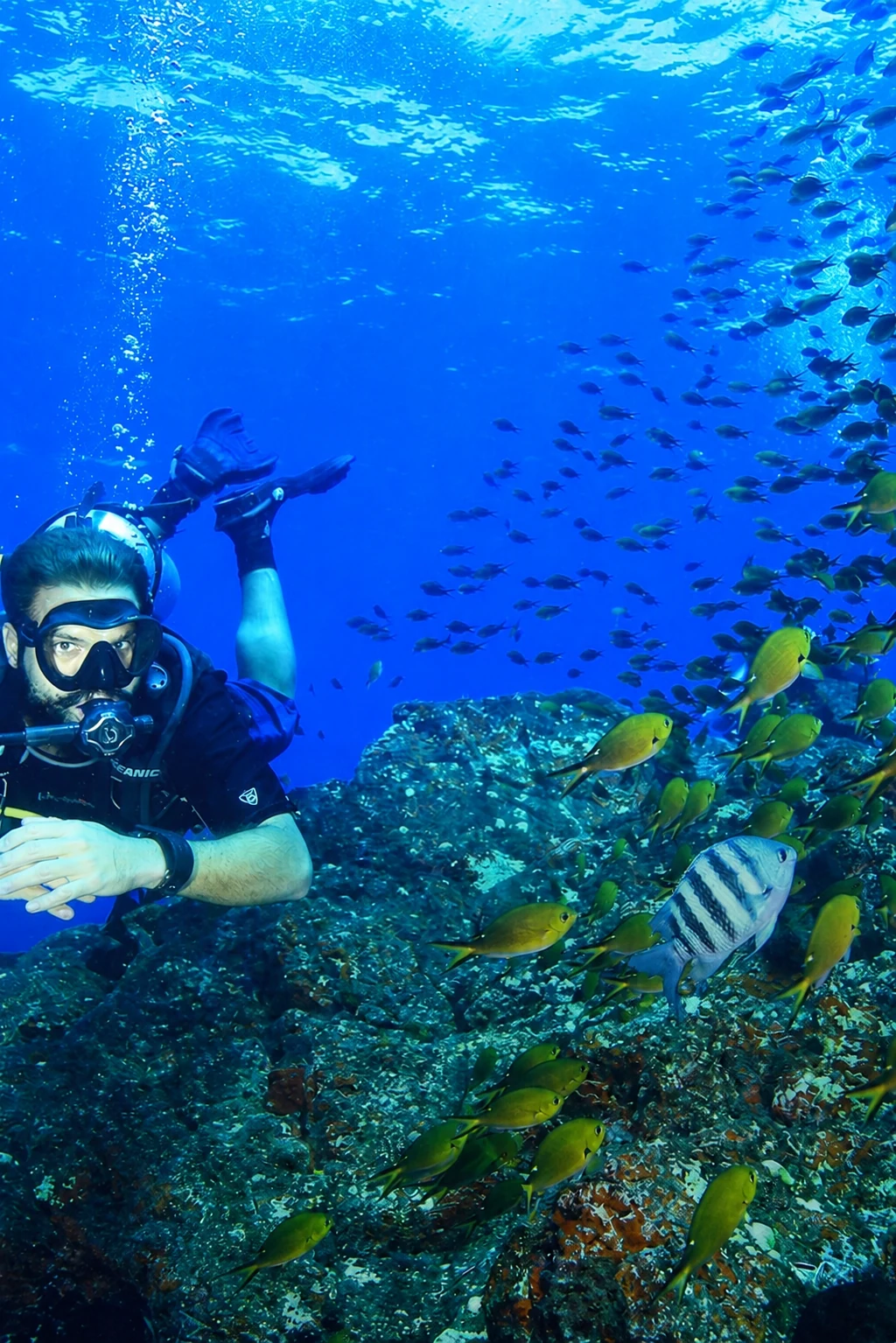 Combo Ilha Tour, Barco Tradicional Escuna e Mergulho Batismo Embarcado em Fernando de Noronha